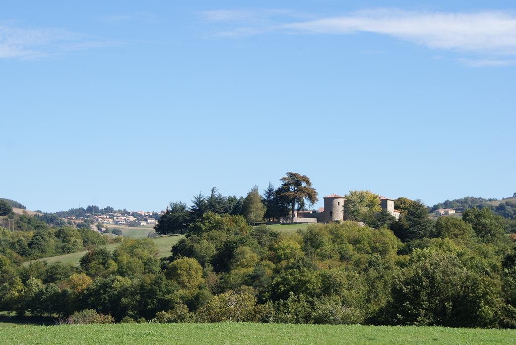 Chateau Du Besset Saint-Romain-de-Lerps Εξωτερικό φωτογραφία