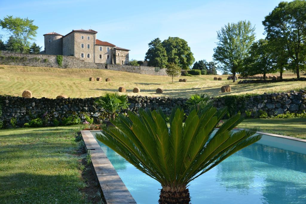Chateau Du Besset Saint-Romain-de-Lerps Εξωτερικό φωτογραφία