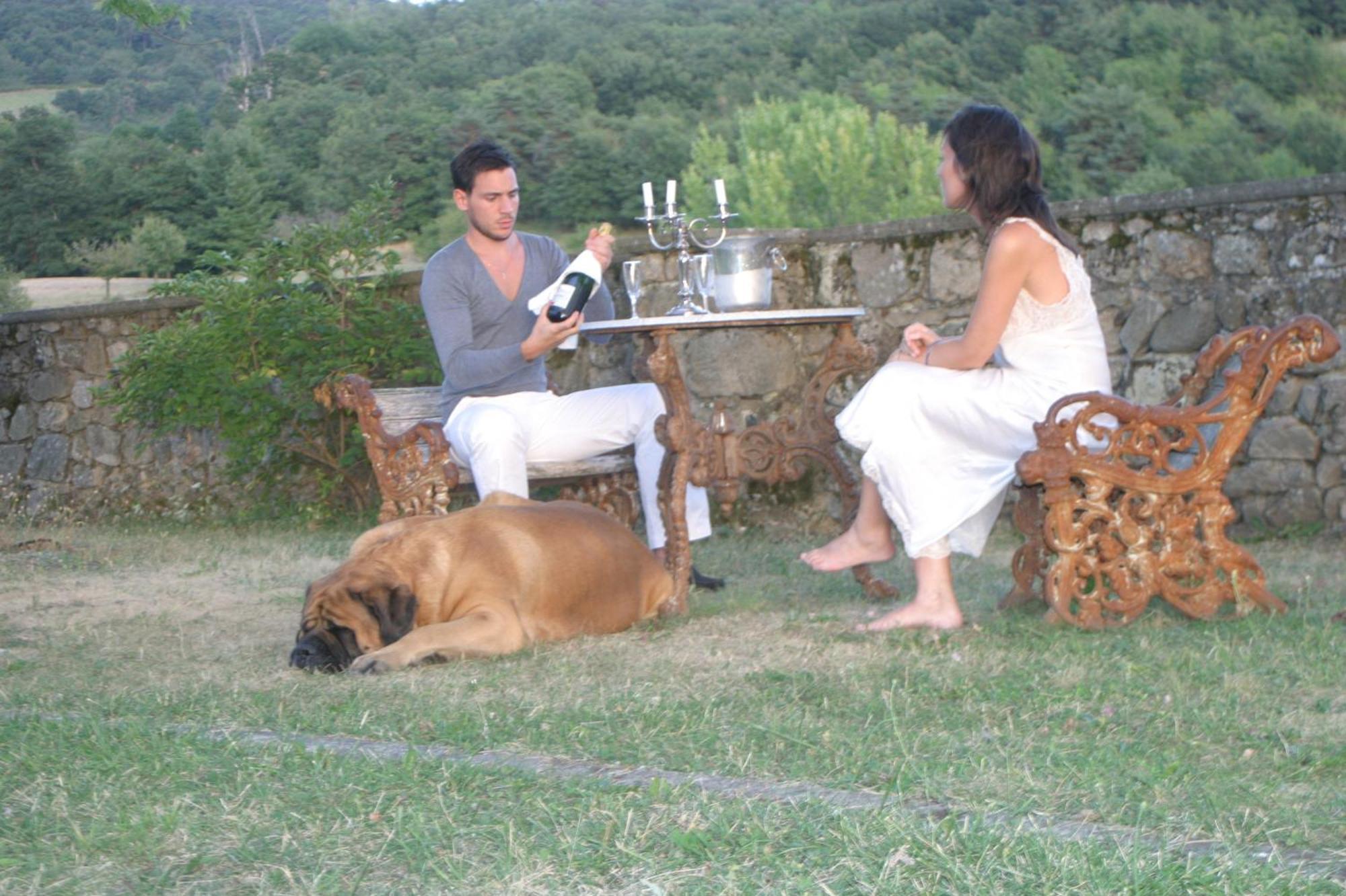 Chateau Du Besset Saint-Romain-de-Lerps Εξωτερικό φωτογραφία